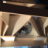 fritzthecat