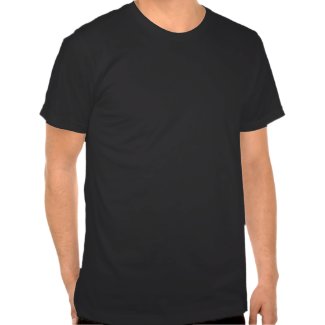 bottlehead_printed_t_shirt-p235678841117675837ft3t6_325.jpg